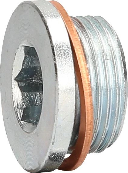 Bouchon de vidange d'huile KS Tools M22 x 15 x 13 mm pour Renault 430.0602 acquérir à bas prix