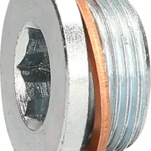 Bouchon de vidange d'huile KS Tools M22 x 15 x 13 mm pour Renault 430.0602 acquérir à bas prix
