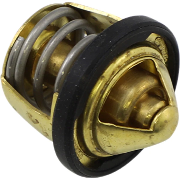 Thermostat pour Polaris - All Balls