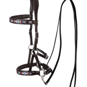 Articles F.R.. Freedom Riding Sidepull Sierra (Système 3) Brown P