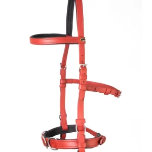 Articles F.R.. Freedom Riding sur le caveçon Koyla Bordeaux F