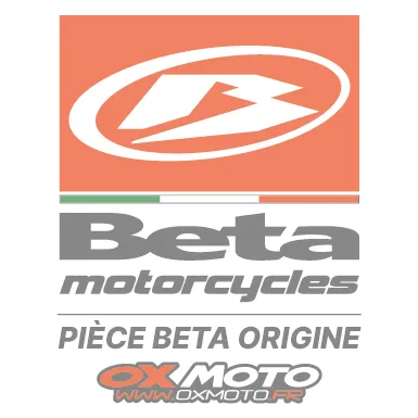 PISTON COMPL. 300CC -B- Beta