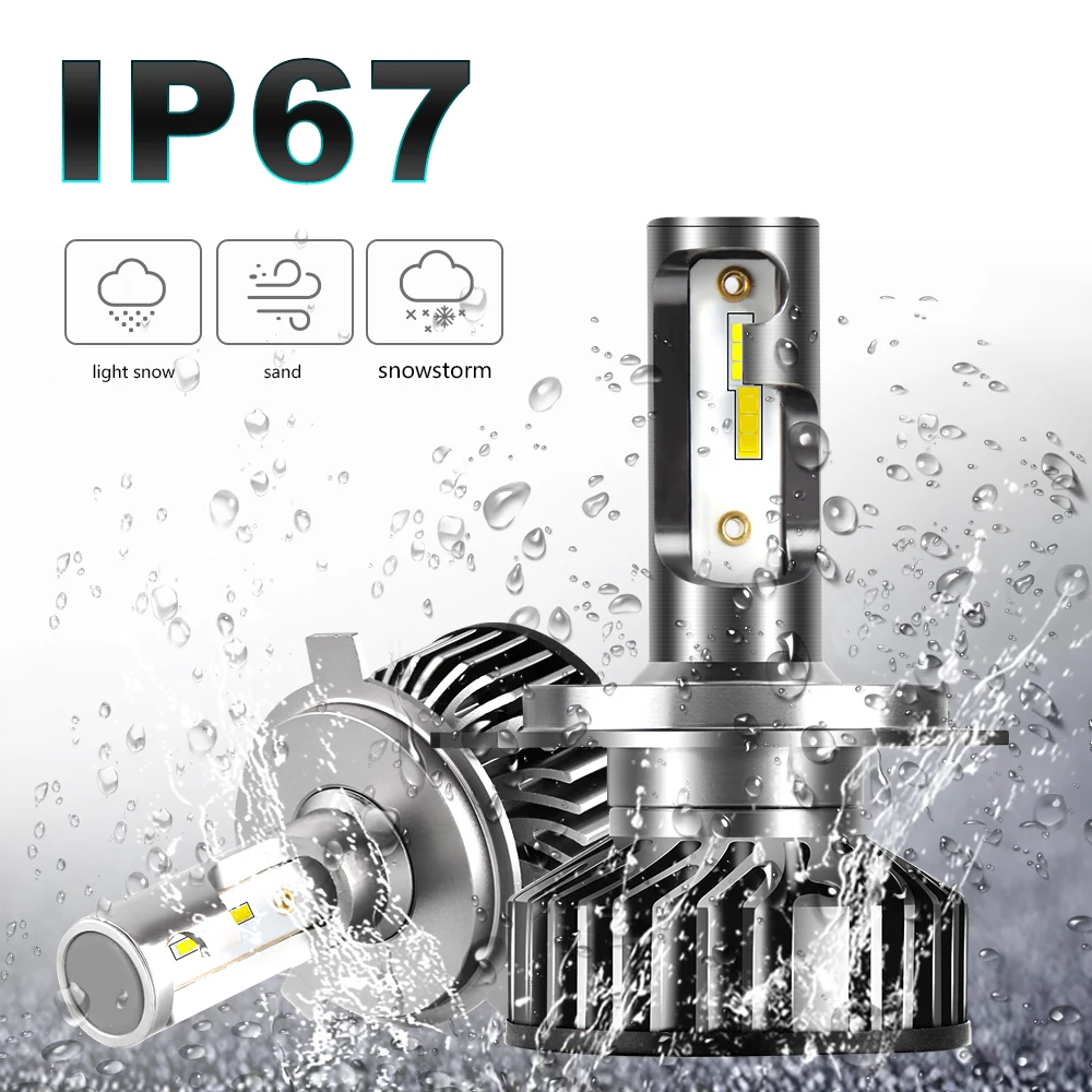 Ampoule de phare LED F2D Plus ventilateur CANBUS - 6500K/3000K CO LIGHT