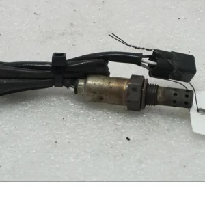 Sonde lambda Ducati