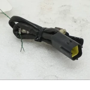 Sonde lambda Ducati