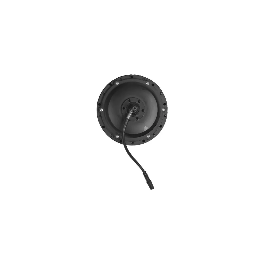 Moteur pour C11 Pro/C11 Fiido EU