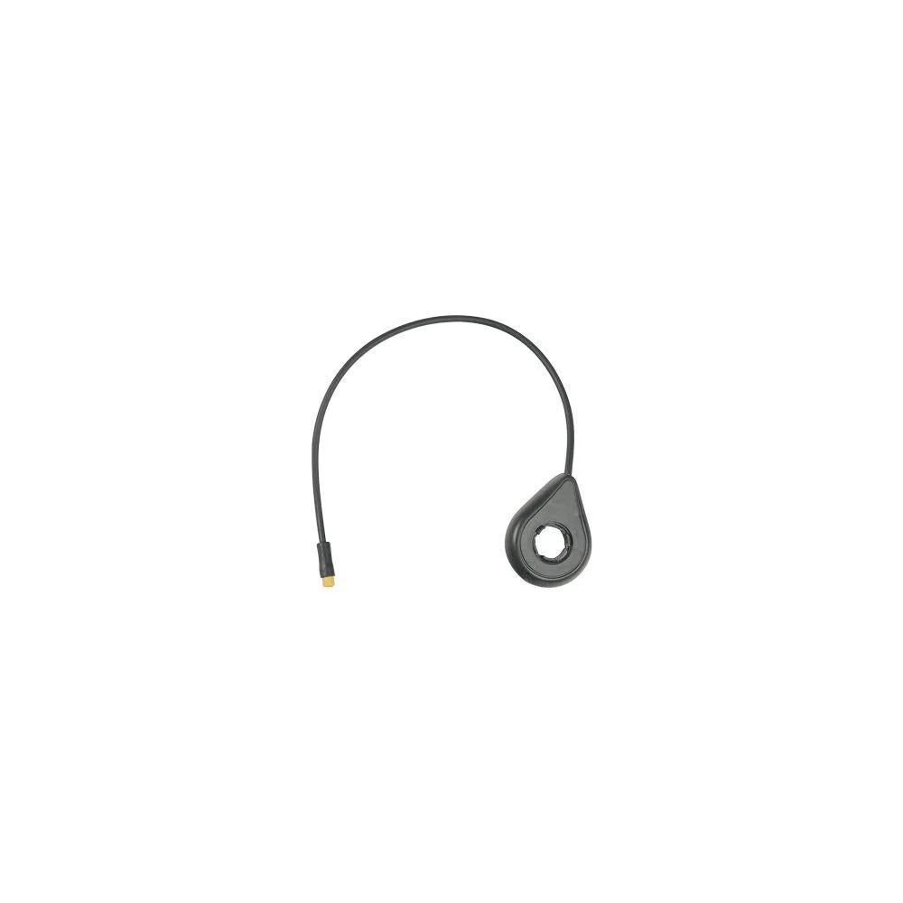 Booster pour T2 2024 fiido.fr
