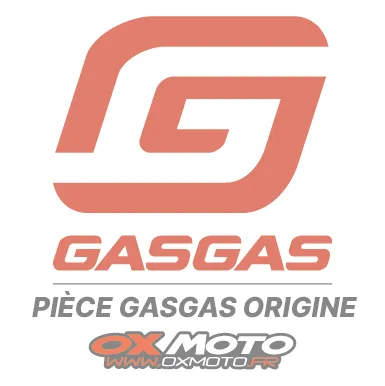 Cylinder head combustion chamber insert GasGas