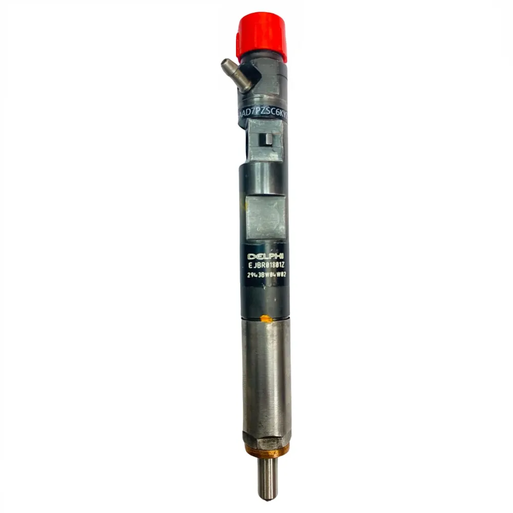 Injecteur RENAULT Kangoo Scenic 1.5 dCi EJBR01801A EJBR01801Z