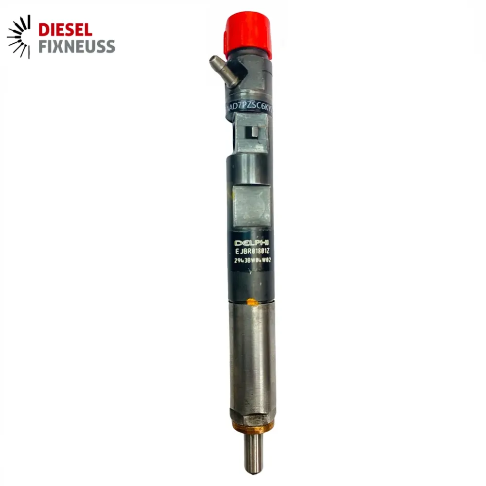 Injecteur RENAULT Kangoo Scenic 1.5 dCi EJBR01801A EJBR01801Z