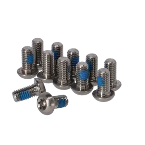 Kit de vis de disque de frein SRAM Titanium T25 12 pièces argenté