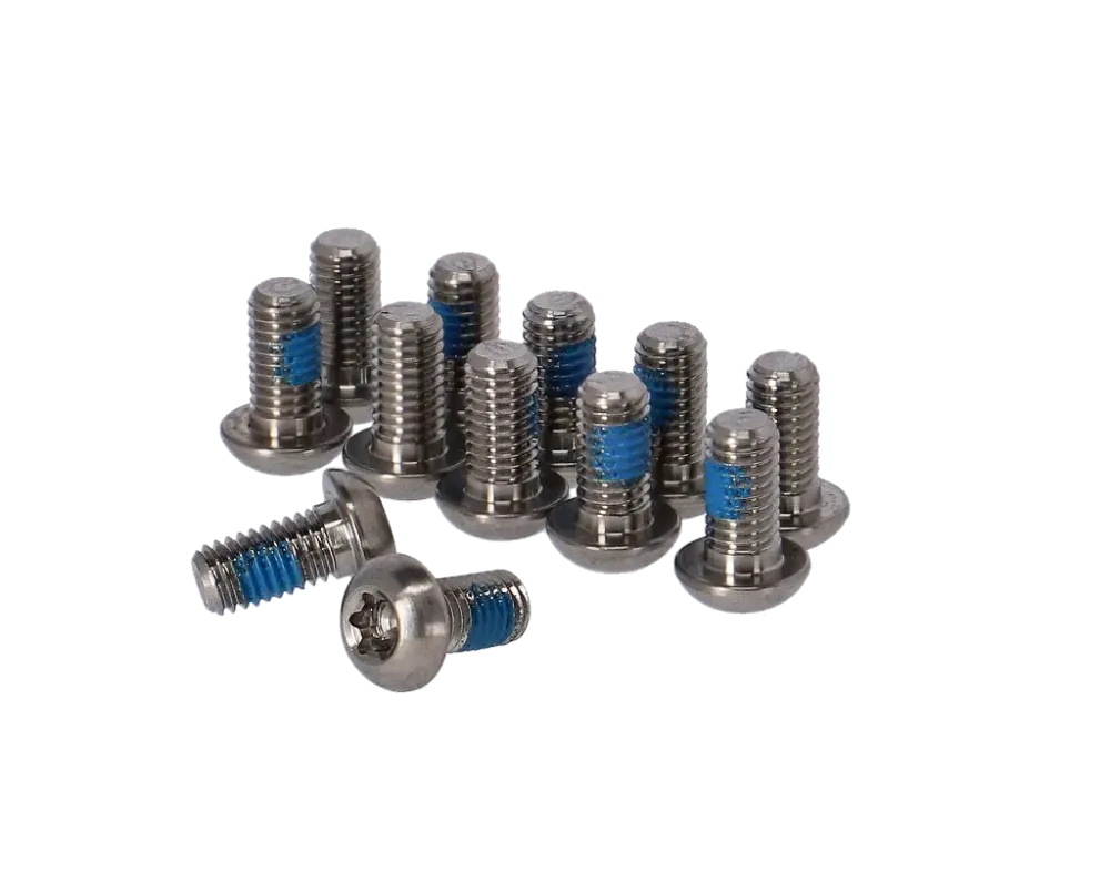 Kit de vis de disque de frein SRAM Titanium T25 12 pièces argenté