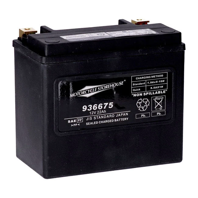 MCS 12V AGM Battery 22Ah Left+ 325CCA