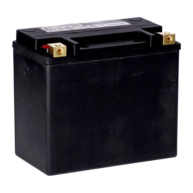 MCS 12V AGM Battery 22Ah Left+ 325CCA