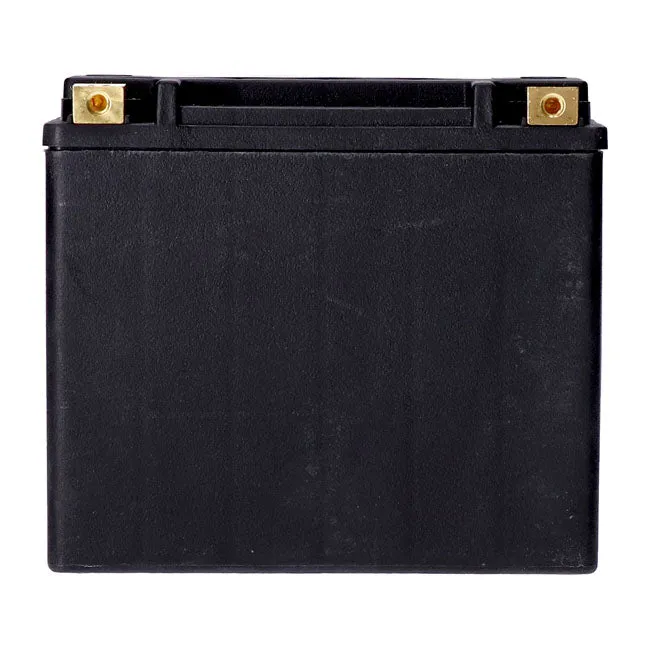 MCS 12V AGM Battery 22Ah Left+ 325CCA
