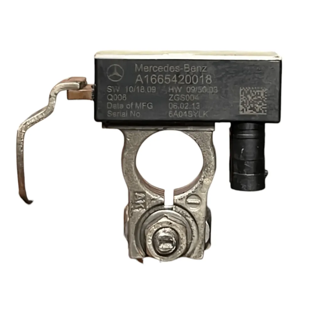 Mercedes-Benz Battery Cable Classe B W246 (2012-2018) COD: A1665420018