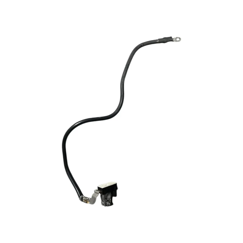 Mercedes-Benz Battery Cable Classe B W246 (2012-2018) COD: A1665420018