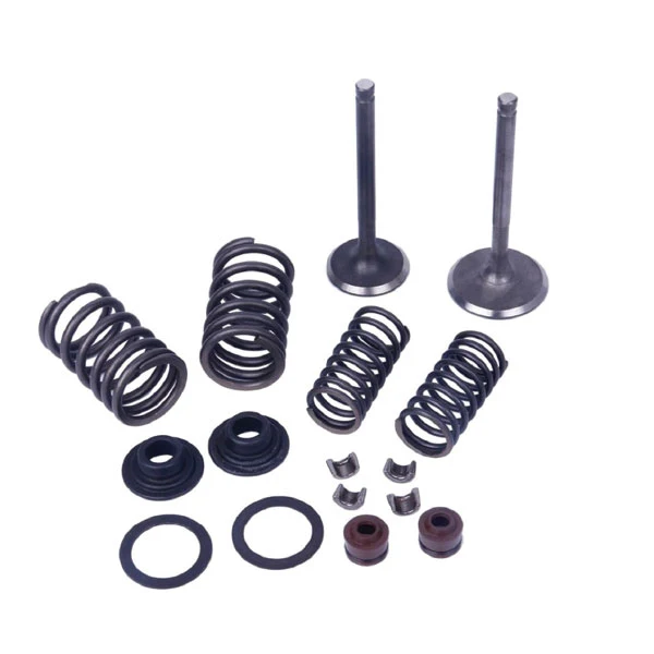 KIT DE VALVE DE PIÈCES MOGO, H-50CC (61-0200) MOGO / OUTSIDE DISTRIBUTING