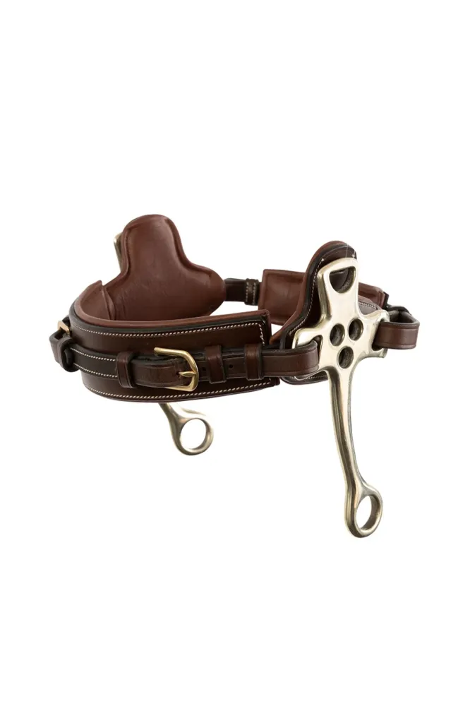 Muserolle Hackamore avec branches 16 cm Brown/Gold C