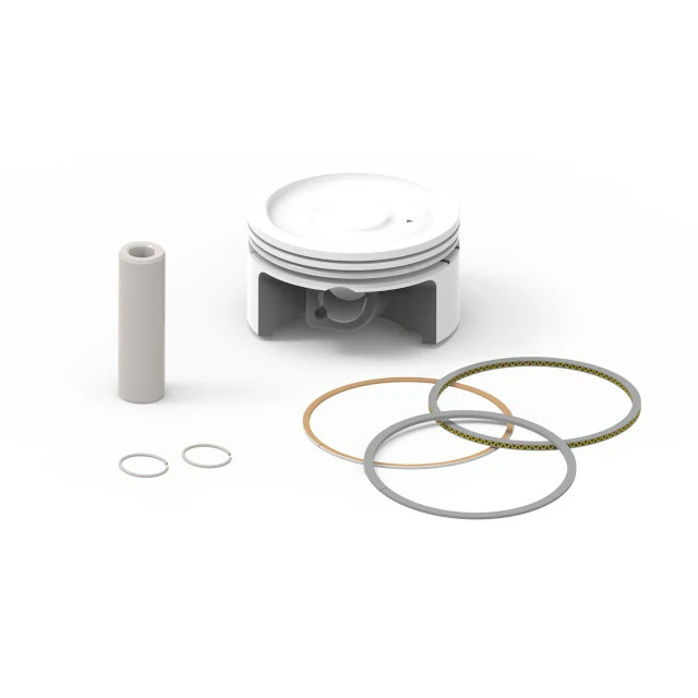 Piston Malossi 183cc d=63mm Beta RR Enduro 4T axe 14mm - lettre