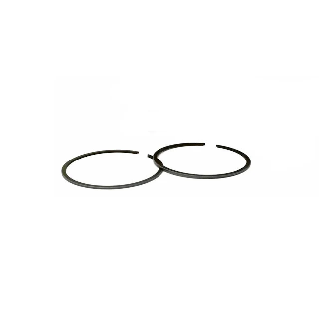 Segmento d.50x1mm usiné intérieur nodulaire chromé Barikit