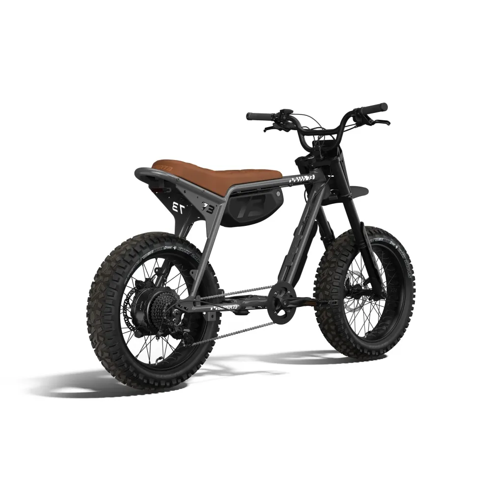 Z Adventure SE - Couleur Palladium SUPER73