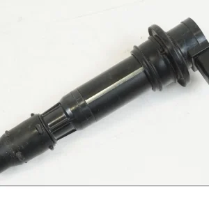Bobine d'allumage Triumph