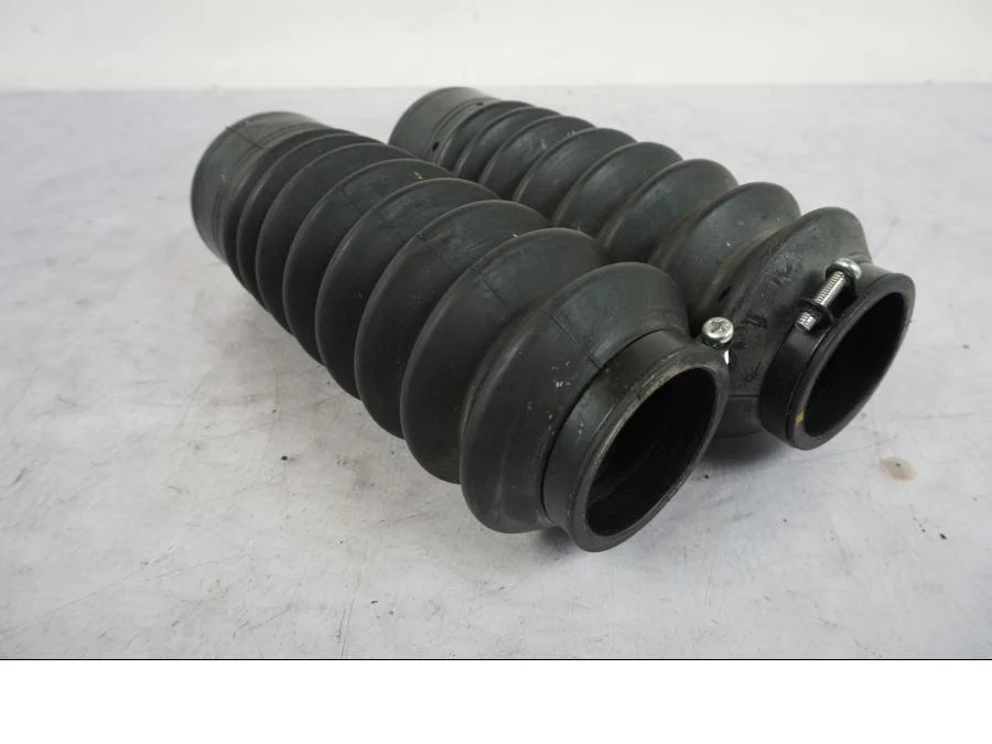 Protection de fourche Triumph