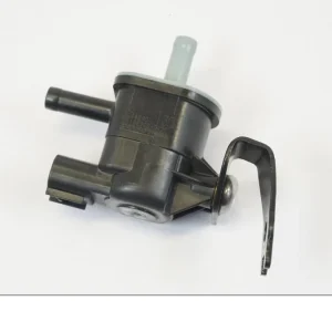 Système d'évaporation de carburant Triumph