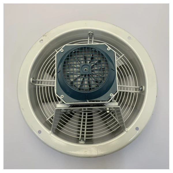 Ventilateur d'extraction axial Gianneschi ELL355/2 R 380V 3F - 01LTR357