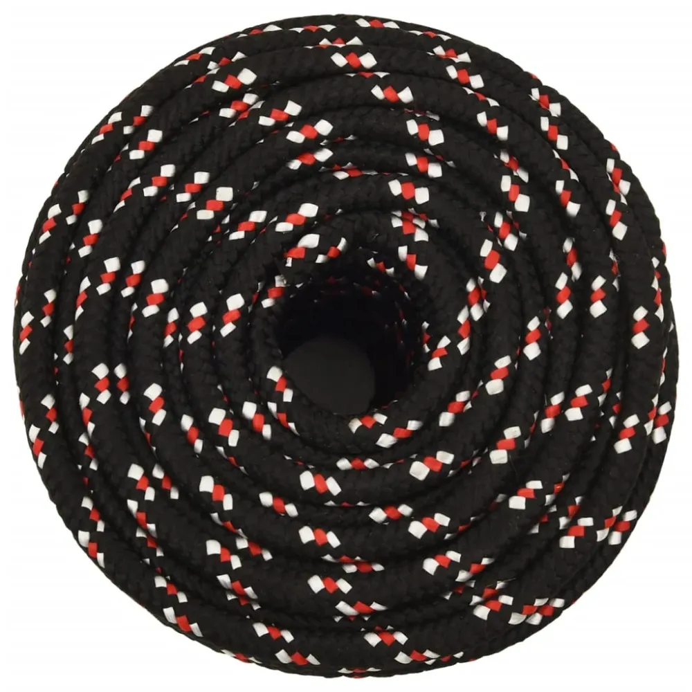 vidaXL Corde de bateau Noir 12 mm 100 m Polypropylène