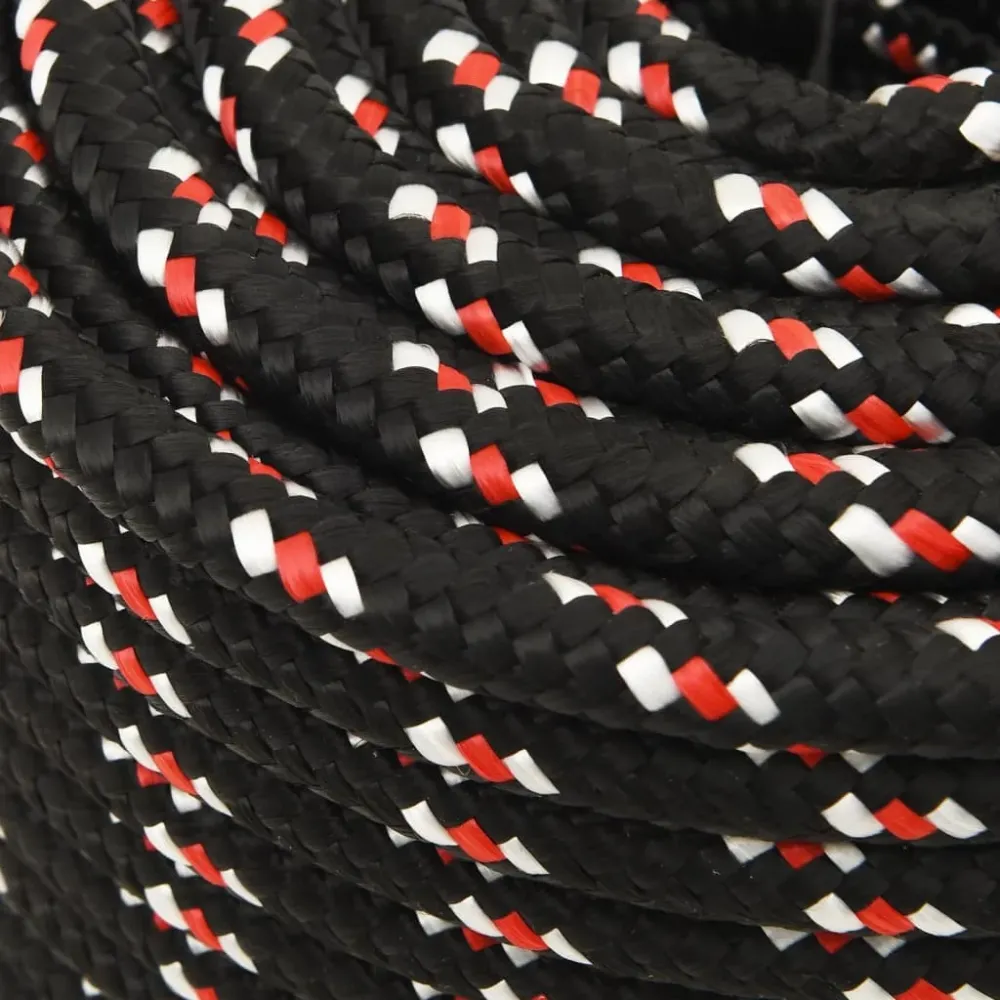 vidaXL Corde de bateau Noir 12 mm 100 m Polypropylène