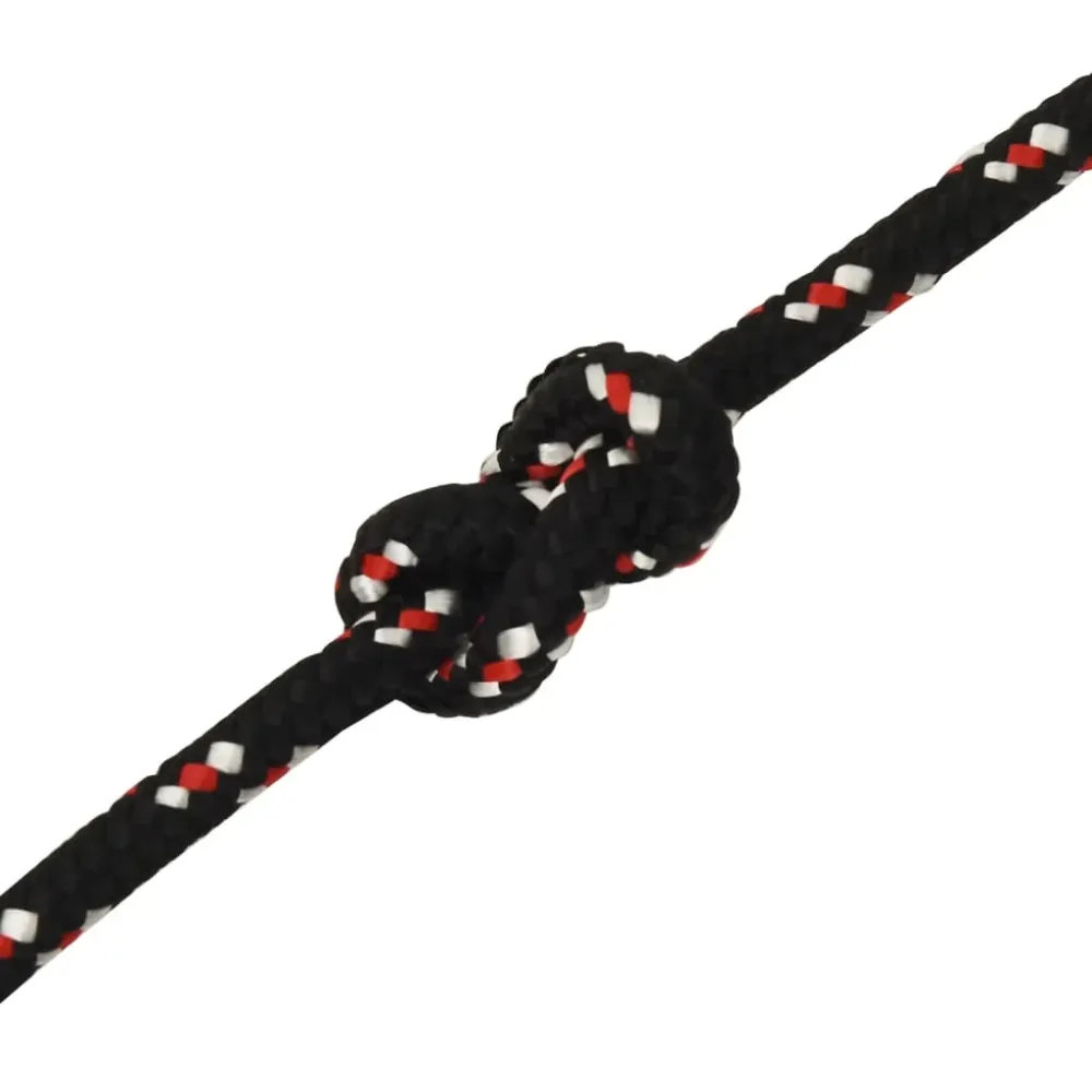 vidaXL Corde de bateau Noir 12 mm 100 m Polypropylène