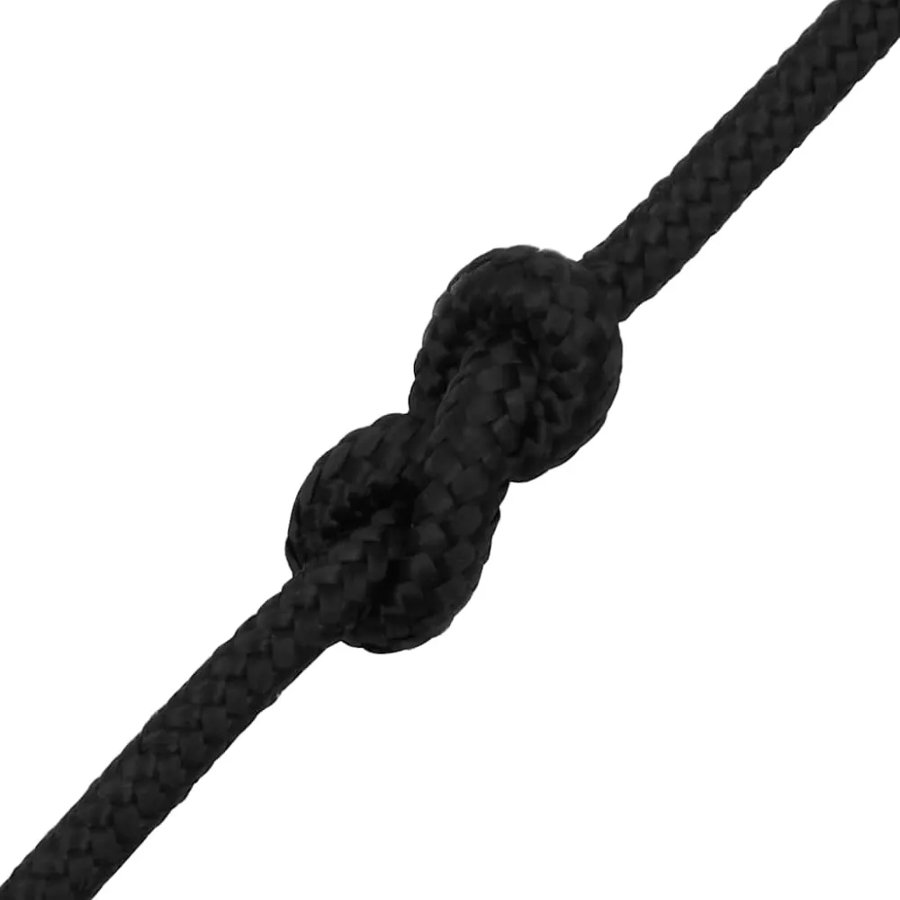 vidaXL Corde de bateau Noir complet 6 mm 50 m Polypropylène