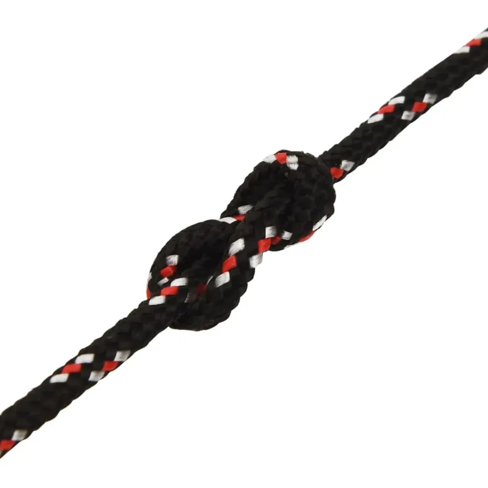 vidaXL Corde de bateau Noir 3 mm 50 m Polypropylène