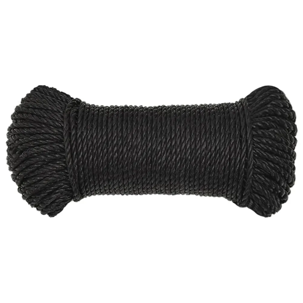 vidaXL Corde de travail Noir 6 mm 250 m polypropylène