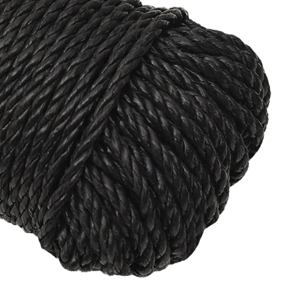 vidaXL Corde de travail Noir 6 mm 250 m polypropylène