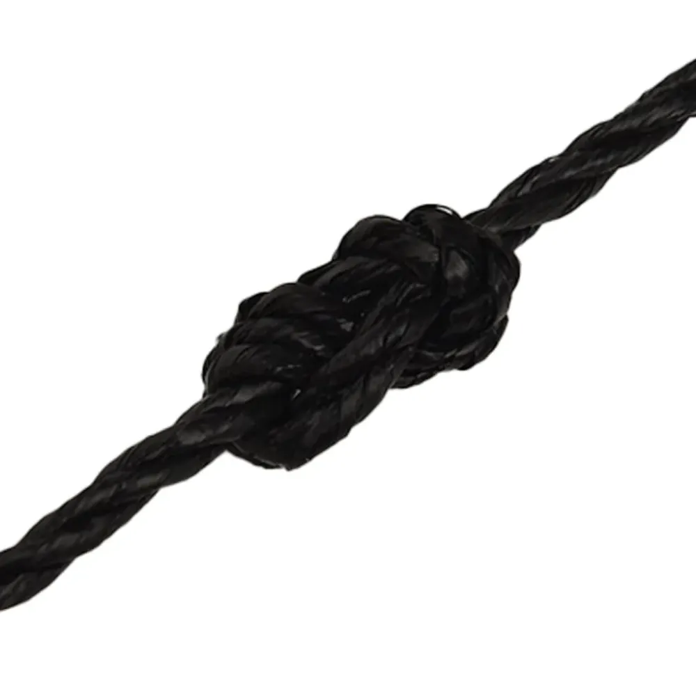 vidaXL Corde de travail Noir 6 mm 250 m polypropylène
