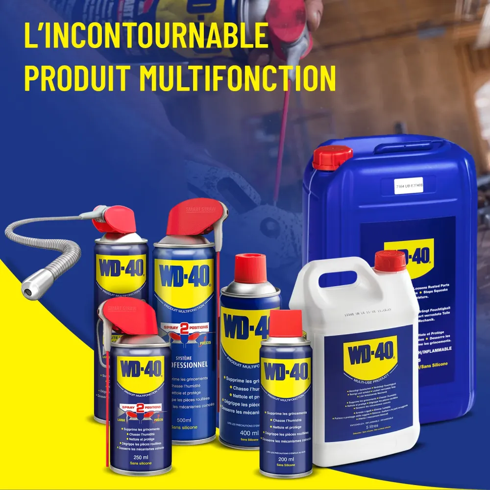 WD-40 érosol Spray Double Position - Lubrifiant, Dégrippant et Protecteur Polyvalent