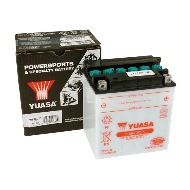 Yuasa Yumicron 12V Batterie Acide Plomb 30Ah 300CCA