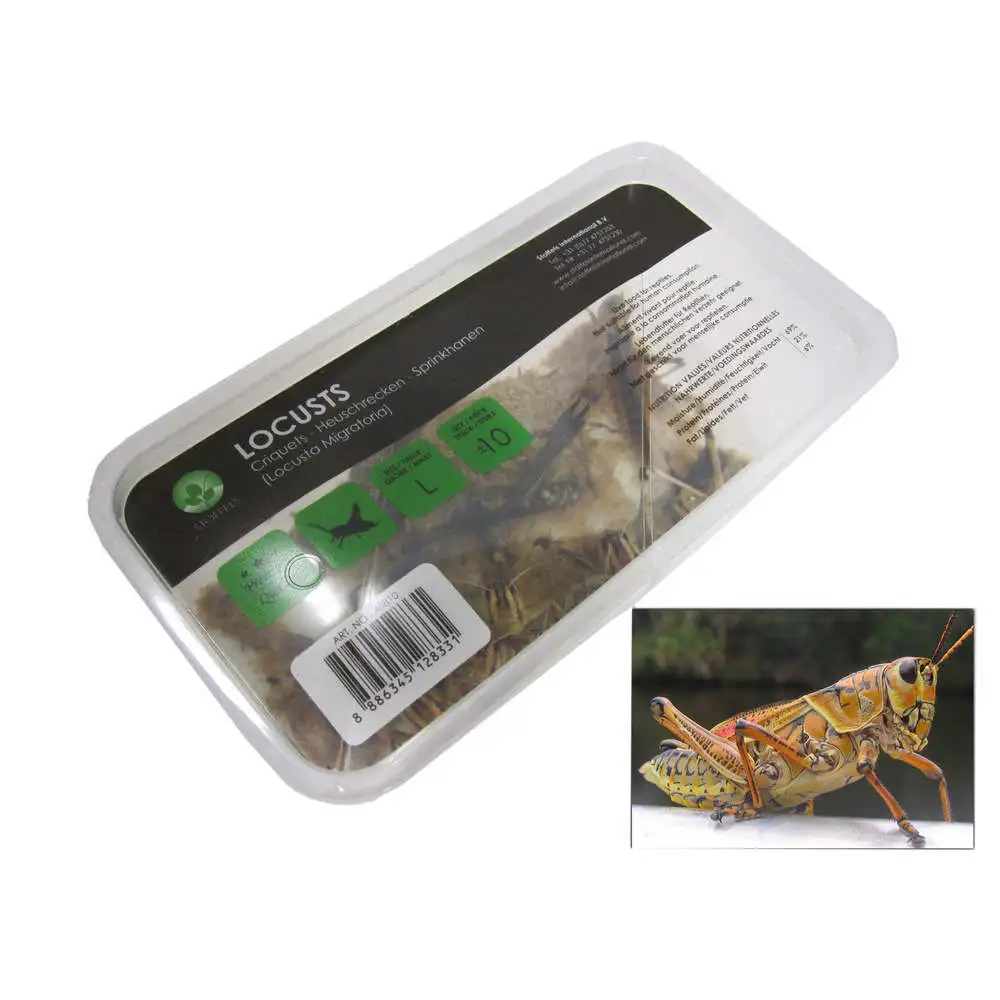 Criquets adultes pour alimentation reptiles : 10 pièces Stoffels