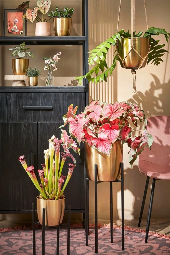 Certifié CE Mica decorations - porte-plante en métal noir h71