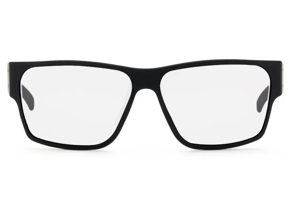 DELTA MILSPEC BALLISTIC, noir jais anodized, black Logo, photochromic w/ avec Garantie