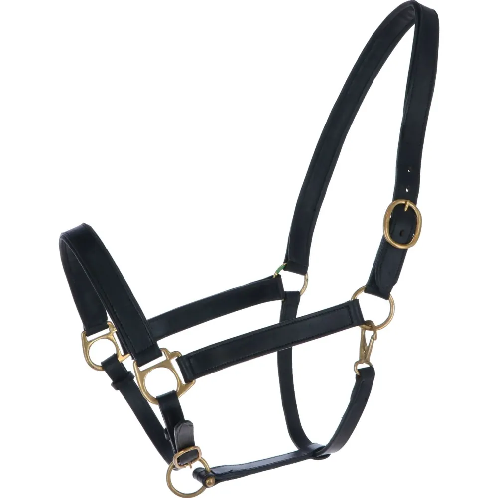 Covalliero Licol Solide Cuir Noir