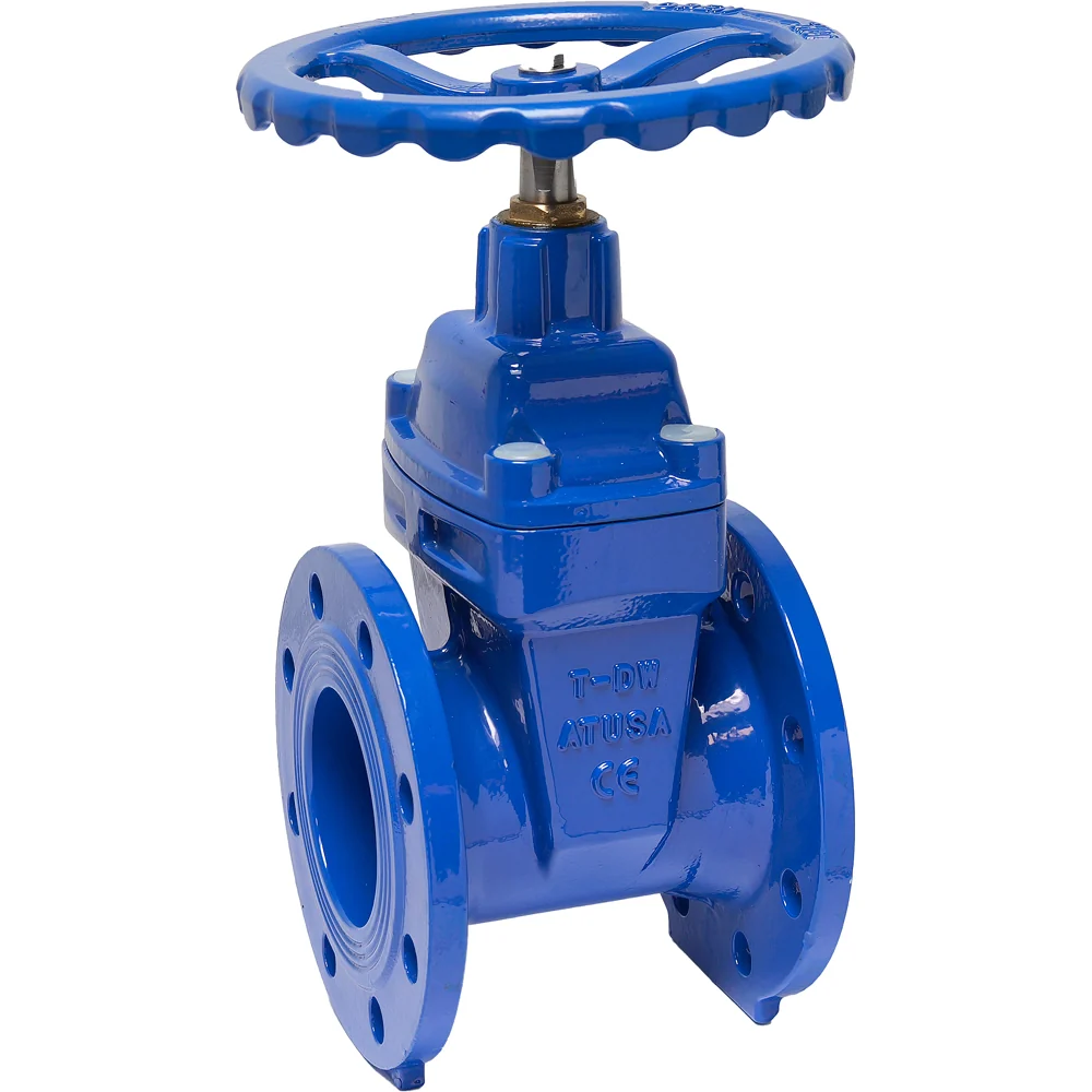 Saracinesca Corpo Piatto Cuneo Gommato Per Flangia Dn 80 - 8 Fori