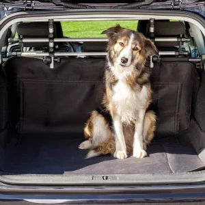 Protège-coffre de voiture • véhicule aseptisé et protégé du chien