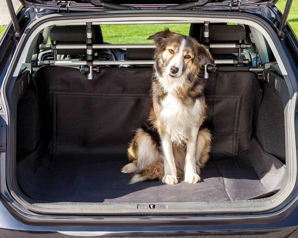 Protège-coffre de voiture • véhicule aseptisé et protégé du chien
