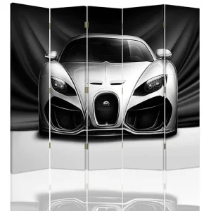 Coffre de rangement Paravent voiture sportive 5 volets - 180 x 150 cm - 2 faces R° V° + rotation 360°
