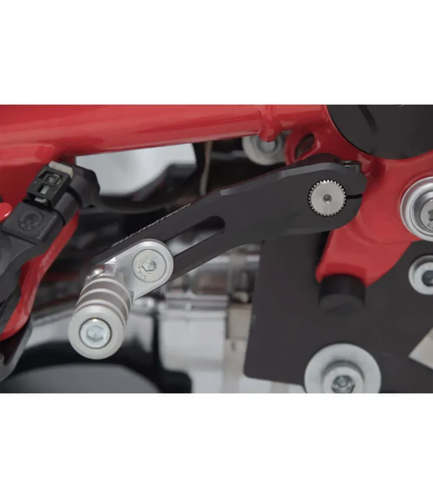 Schaltpedal Verstellbar für BMW R nineT (20-24)