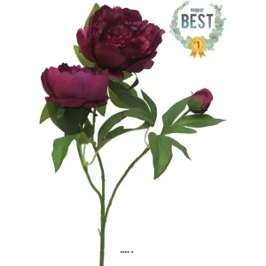 Pivoine artificielle ramifiée, 3 têtes, H 70 cm Pourpre - couleur: Pourpre - Compatible Universelle